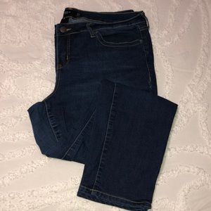 Torrid Denim